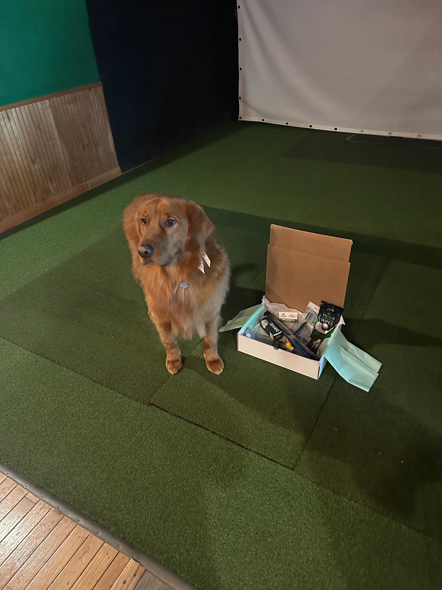 The Golf Drop - April 2026